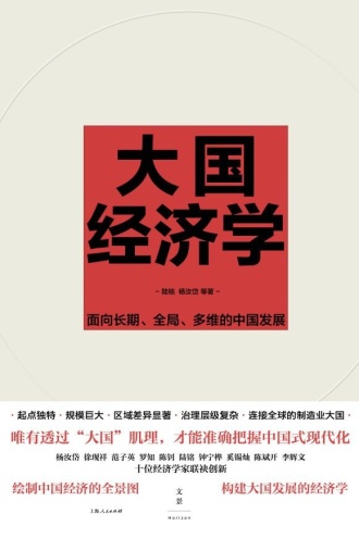 大国经济学